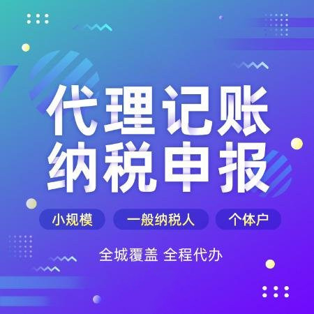 專業(yè)企業(yè)代理記賬哪家好 